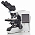 OLYMPUS BX43